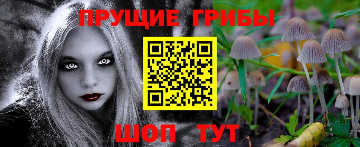 Камышин  Псилоцибиновые грибы ЛСД  Вход с VPN  Псилоцибиновые грибы Psilocybe 